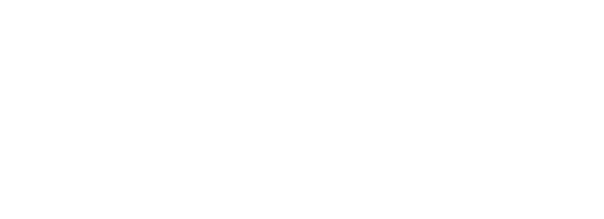 Logo energy blanco 3